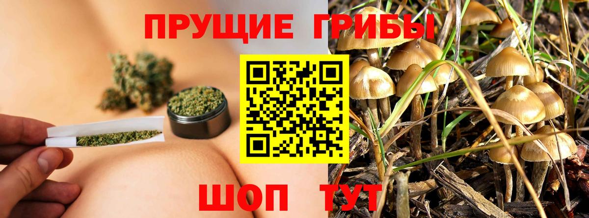 Набережные Челны  Псилоцибиновые грибы GOLDEN TEACHER  Вход с VPN 